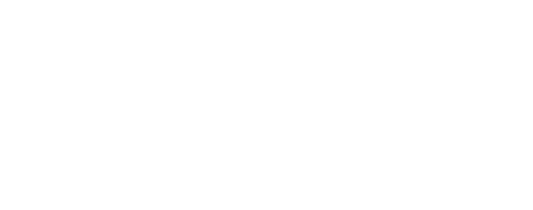 Application Logo